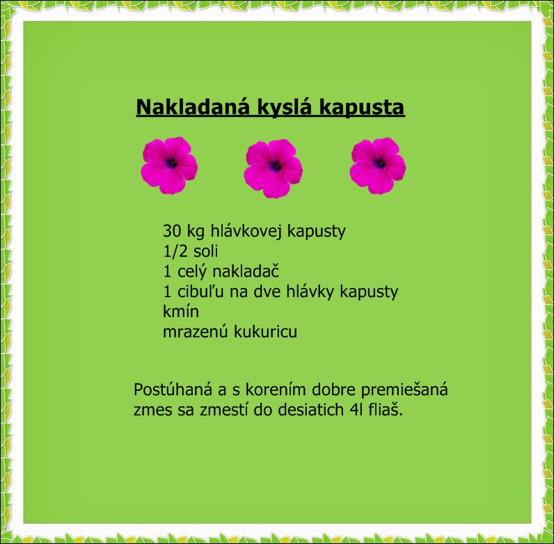 kapusta