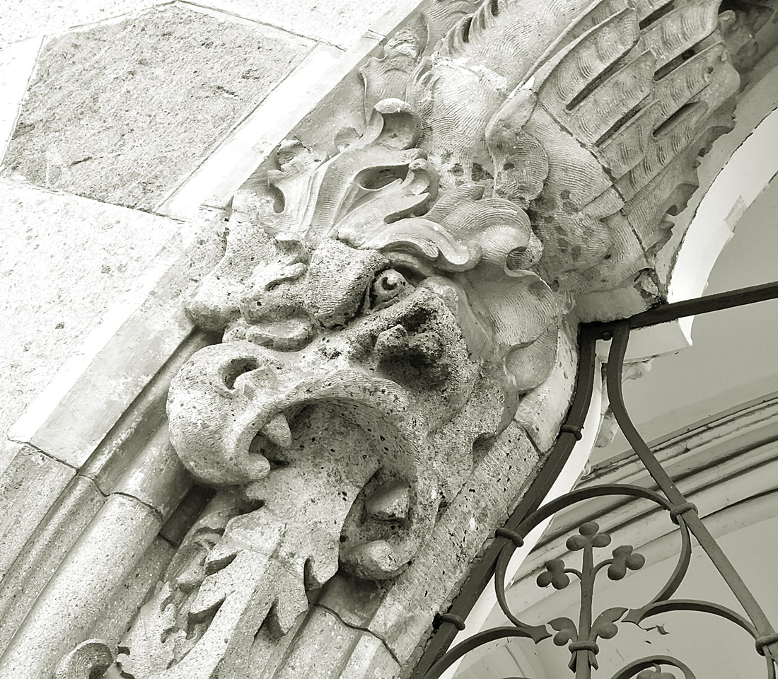 Dračia hlava