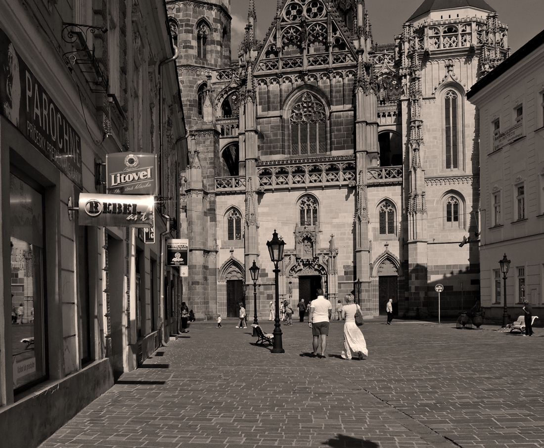 DSCN0358