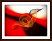 Pirouette en rouge 