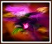 Adagio